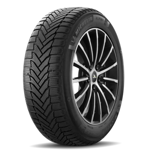 Michelin Alpin 6